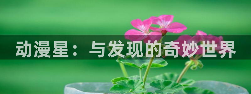 omofun动漫网,omofun弹幕网：动漫星：与发现的奇妙世界